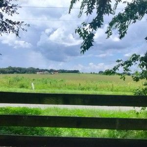 Meet your Posher, Taco